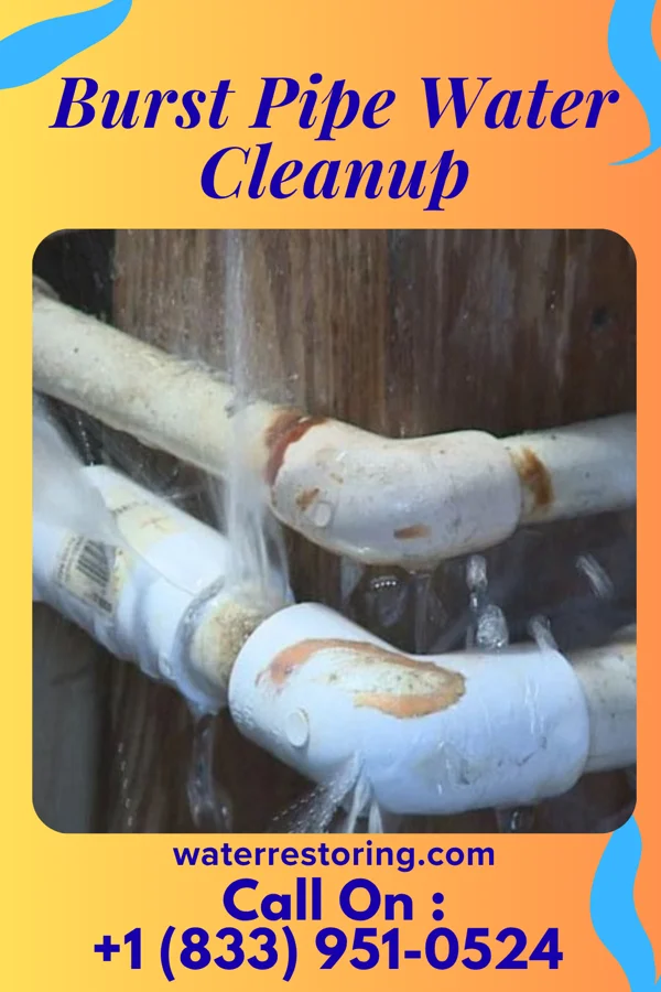 Burst Pipe Water Cleanup in Reed Creek, GA