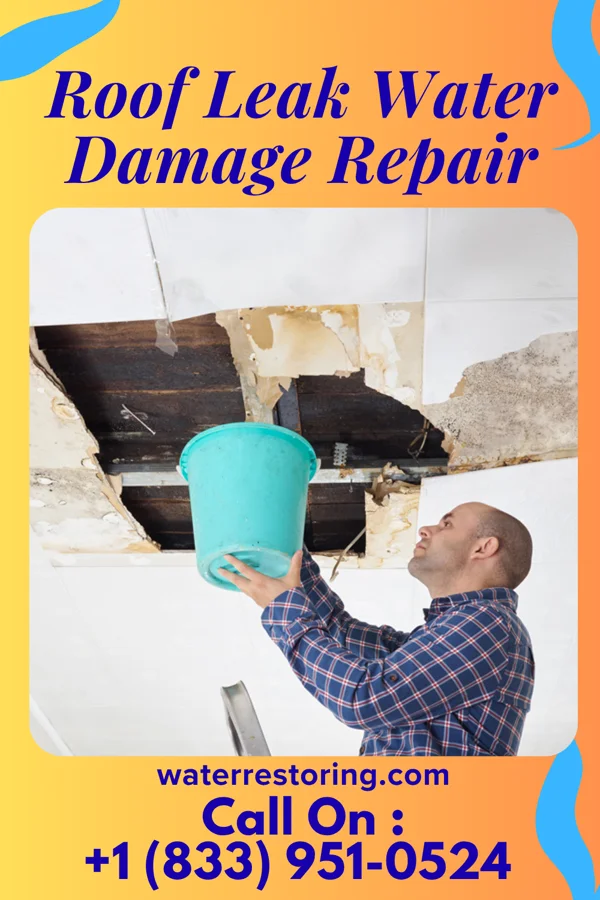Roof Leak Water Damage Repair in Reed Creek, GA