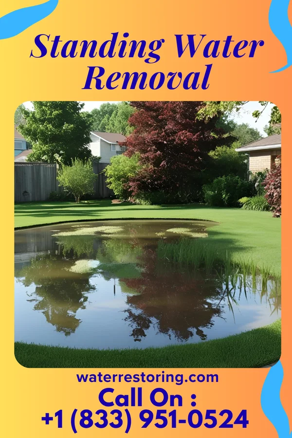 Standing Water Removal in Reed Creek, GA